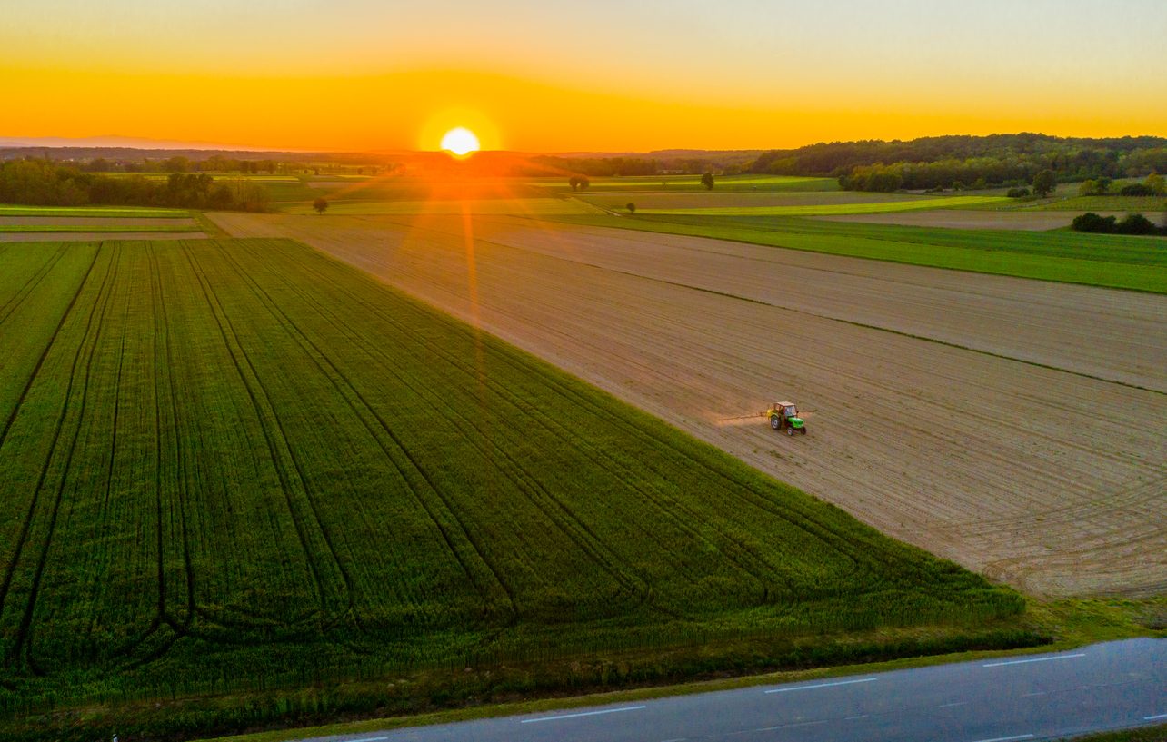 A tractor working in a field at sunset, with green and brown rows of crops.