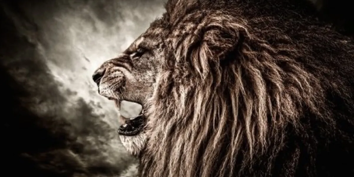 Running Towards the Roar